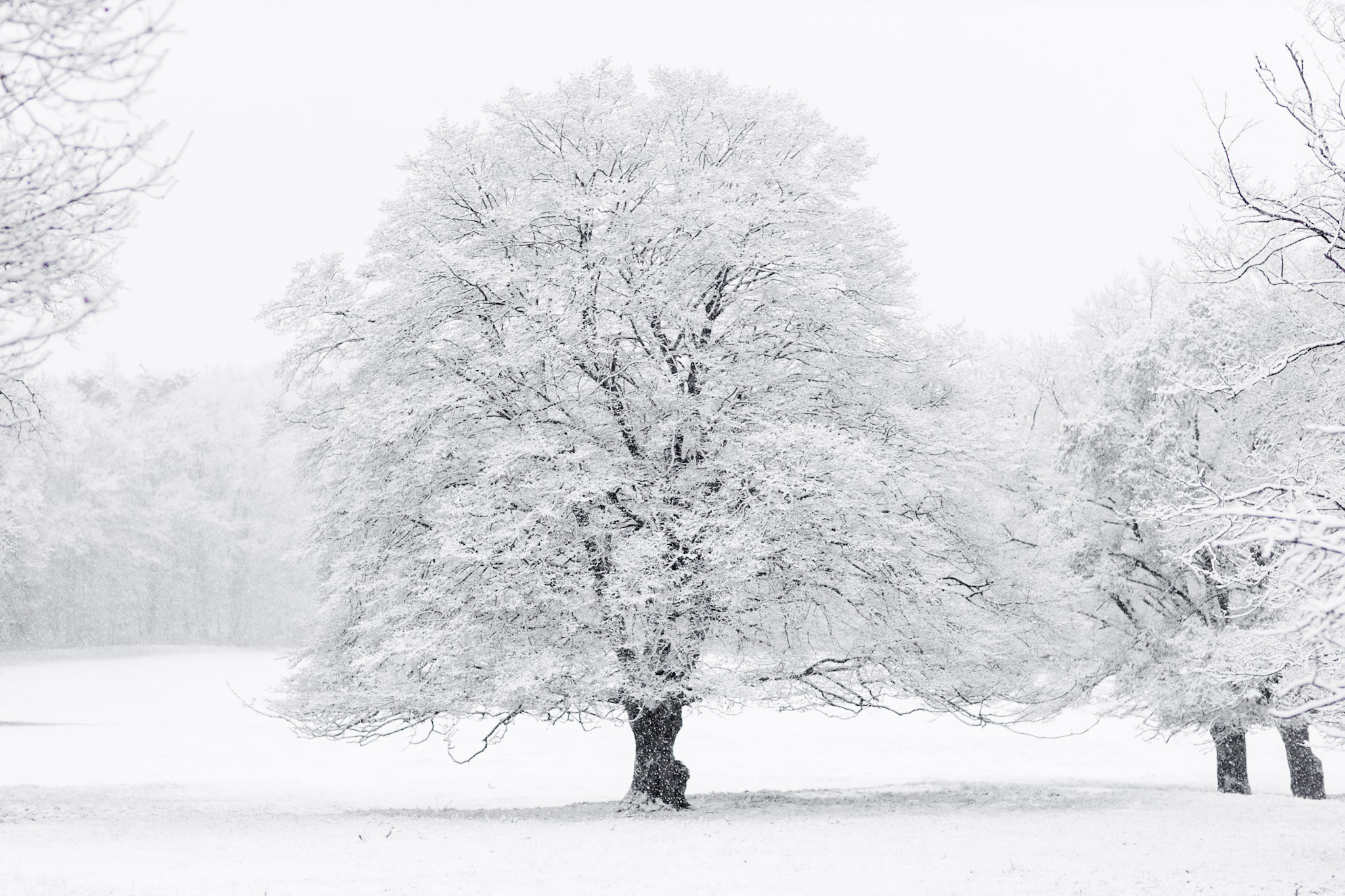 Stille Kraft